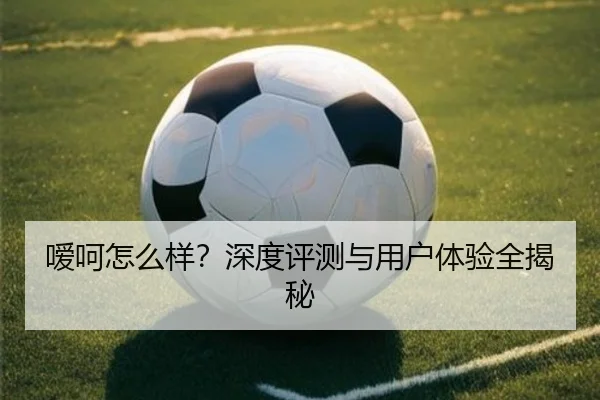 嗳呵怎么样？深度评测与用户体验全揭秘