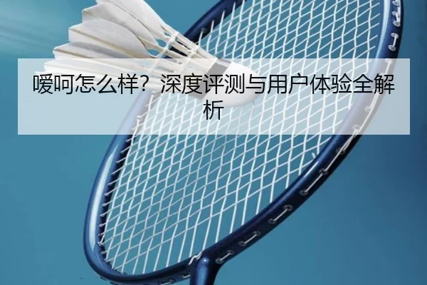 嗳呵怎么样？深度评测与用户体验全解析
