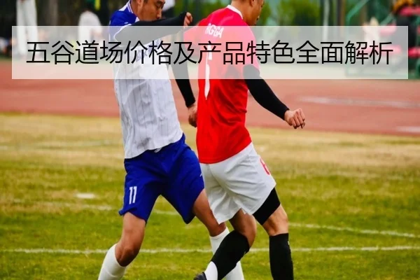 img_1781337895550_963_1_976.jpg